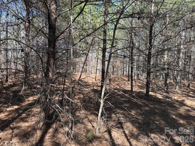 00 Hope Drive Rutherfordton NC 28139
