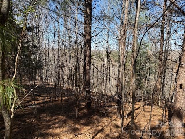 00 Hope Drive Rutherfordton NC 28139