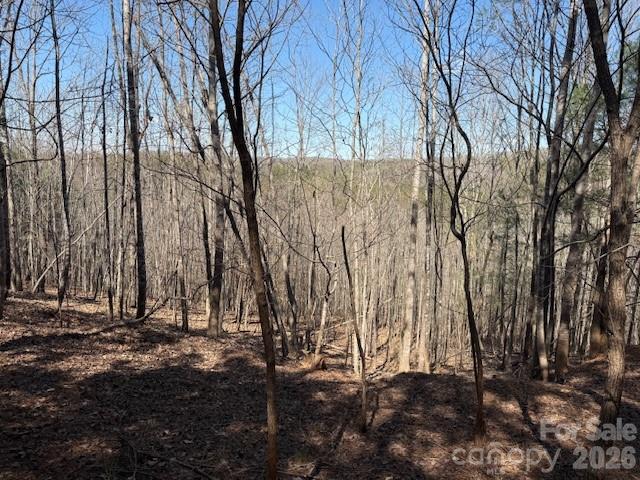 00 Hope Drive Rutherfordton NC 28139