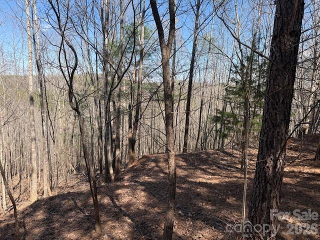 00 Hope Drive Rutherfordton NC 28139