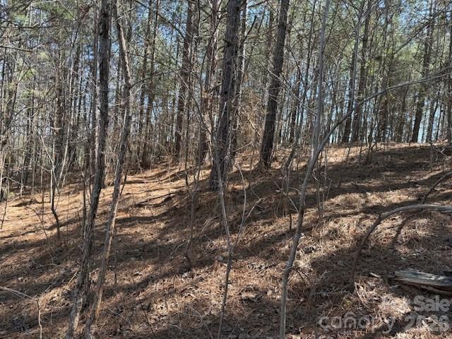 00 Hope Drive Rutherfordton NC 28139