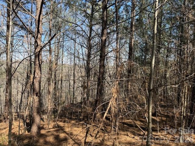00 Hope Drive Rutherfordton NC 28139