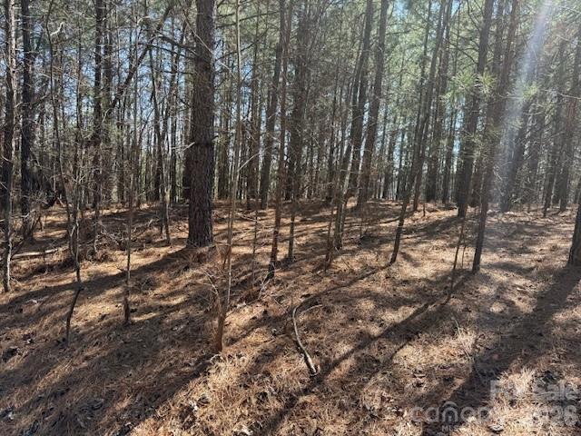 00 Hope Drive Rutherfordton NC 28139