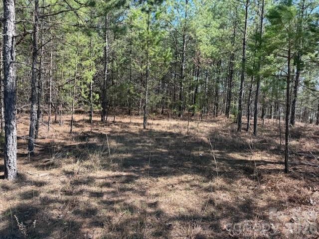 00 Hope Drive Rutherfordton NC 28139