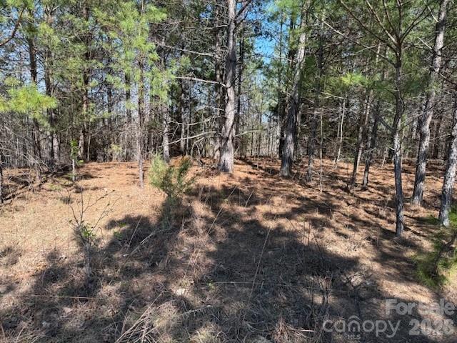 00 Hope Drive Rutherfordton NC 28139