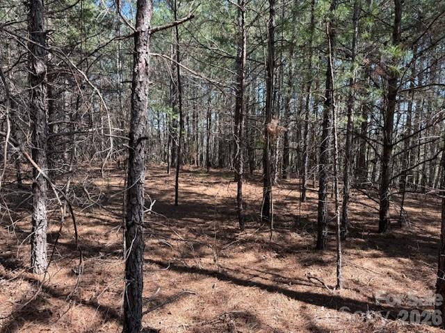 00 Hope Drive Rutherfordton NC 28139