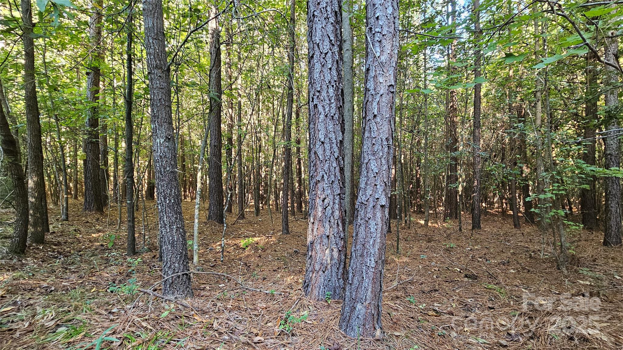 10130 Reed Mine Road Midland NC 28107