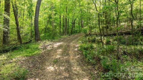 256 Long Leaf Pine Drive Hiddenite NC 28636