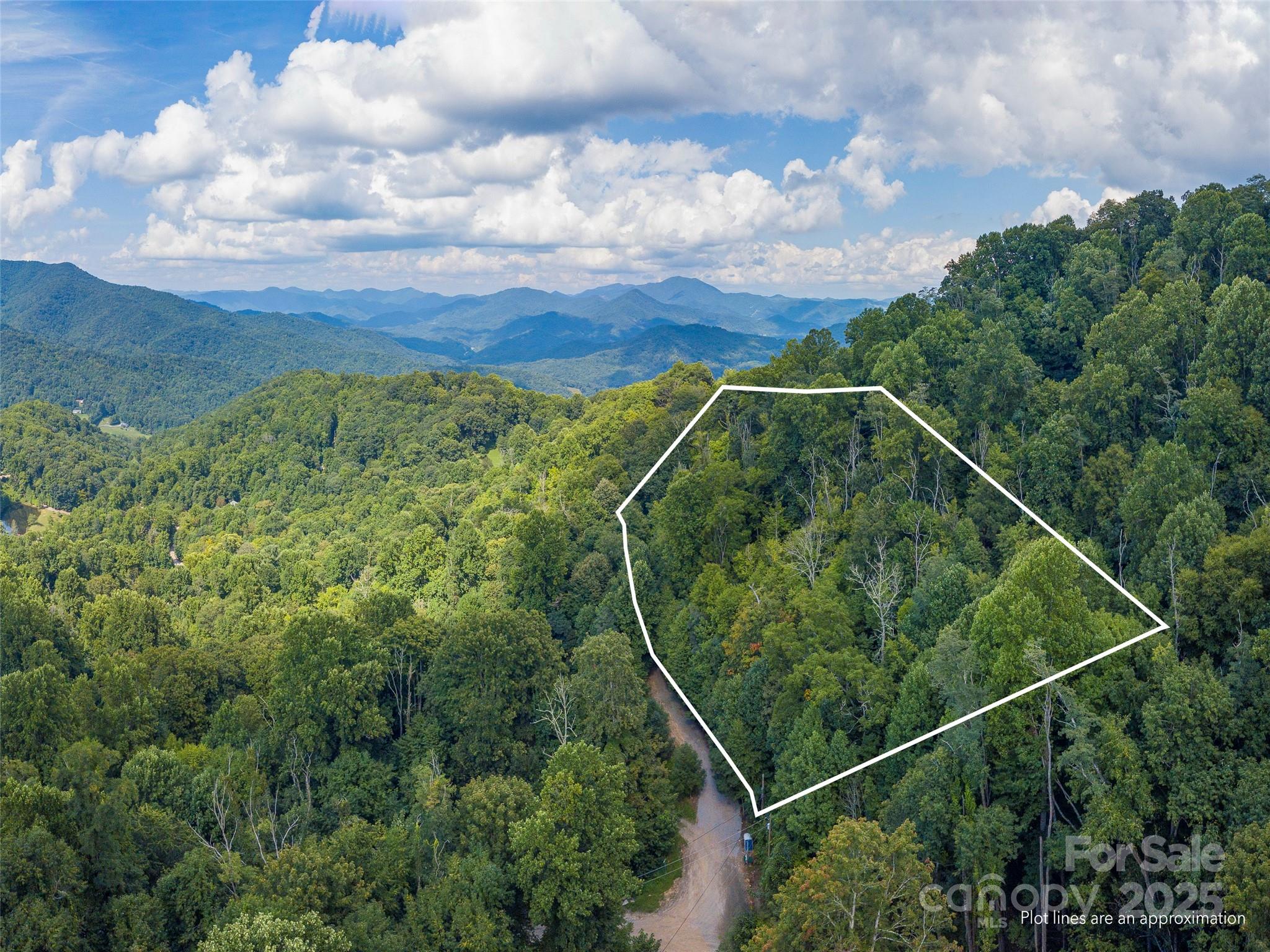 00 Pitch Fork Cove Waynesville NC 28785