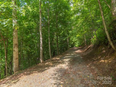 00 Pitch Fork Cove Waynesville NC 28785