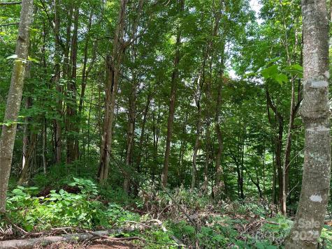 Lot 303 Slippery Rock Road Waynesville NC 28785