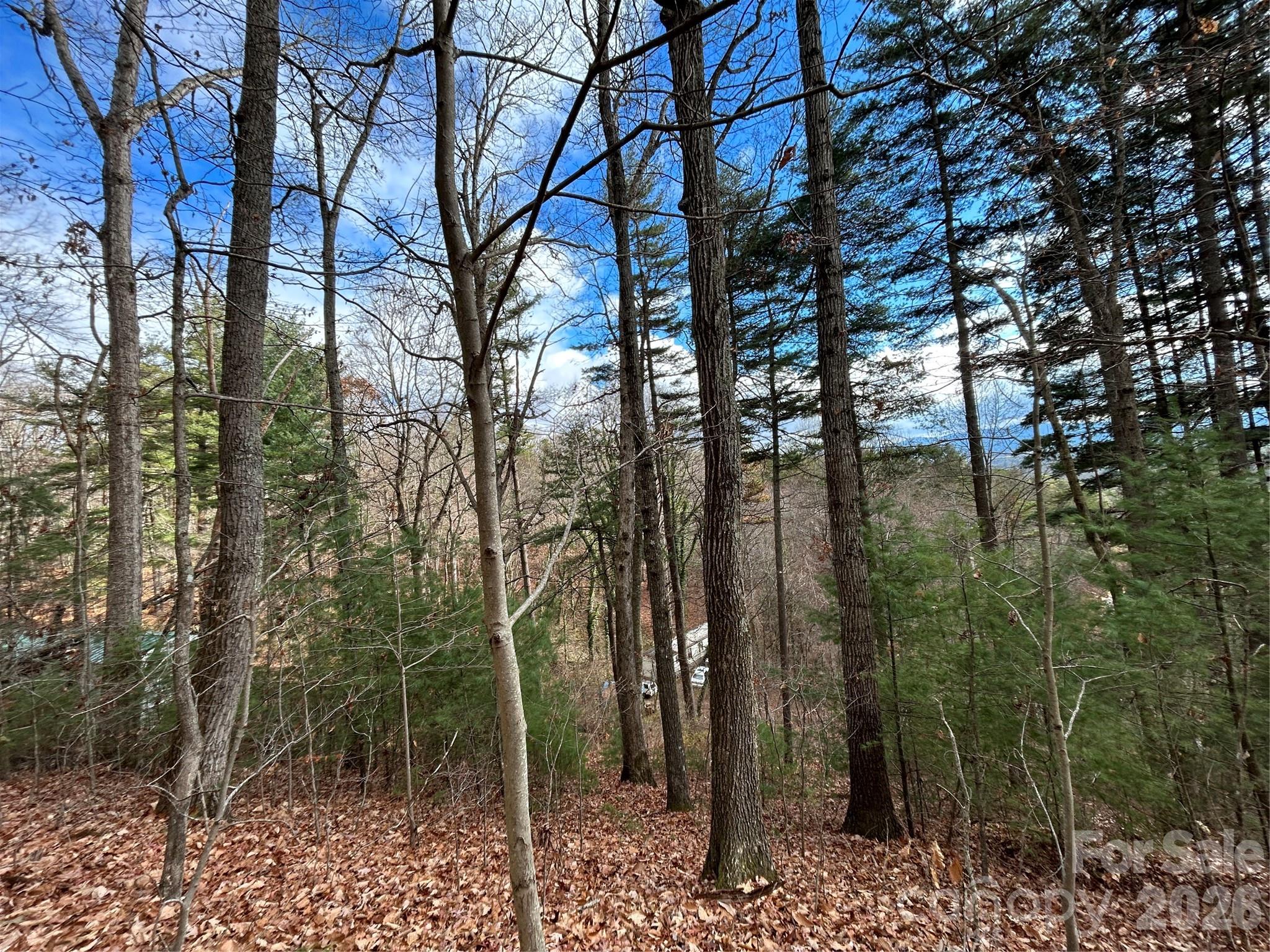 99999 Cowan Cove Road Asheville NC 28806