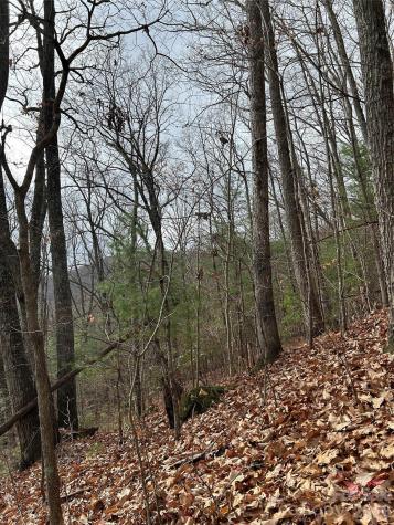 99999 Cowan Cove Road Asheville NC 28806
