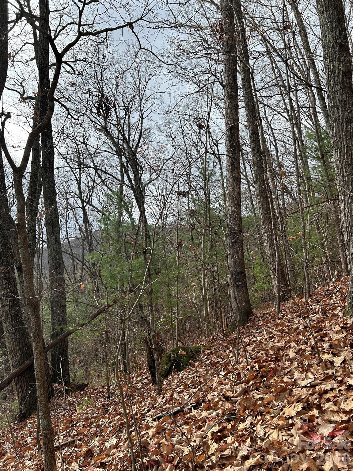99999 Cowan Cove Road Asheville NC 28806
