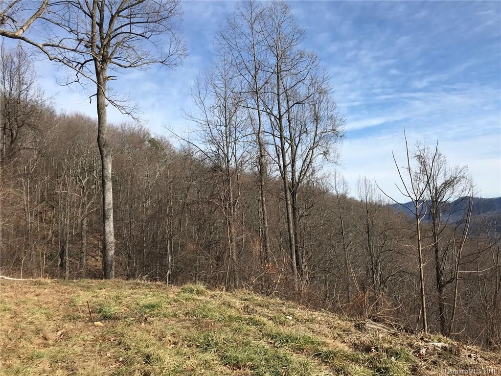 604 Warbler Lane Black Mountain NC 28711