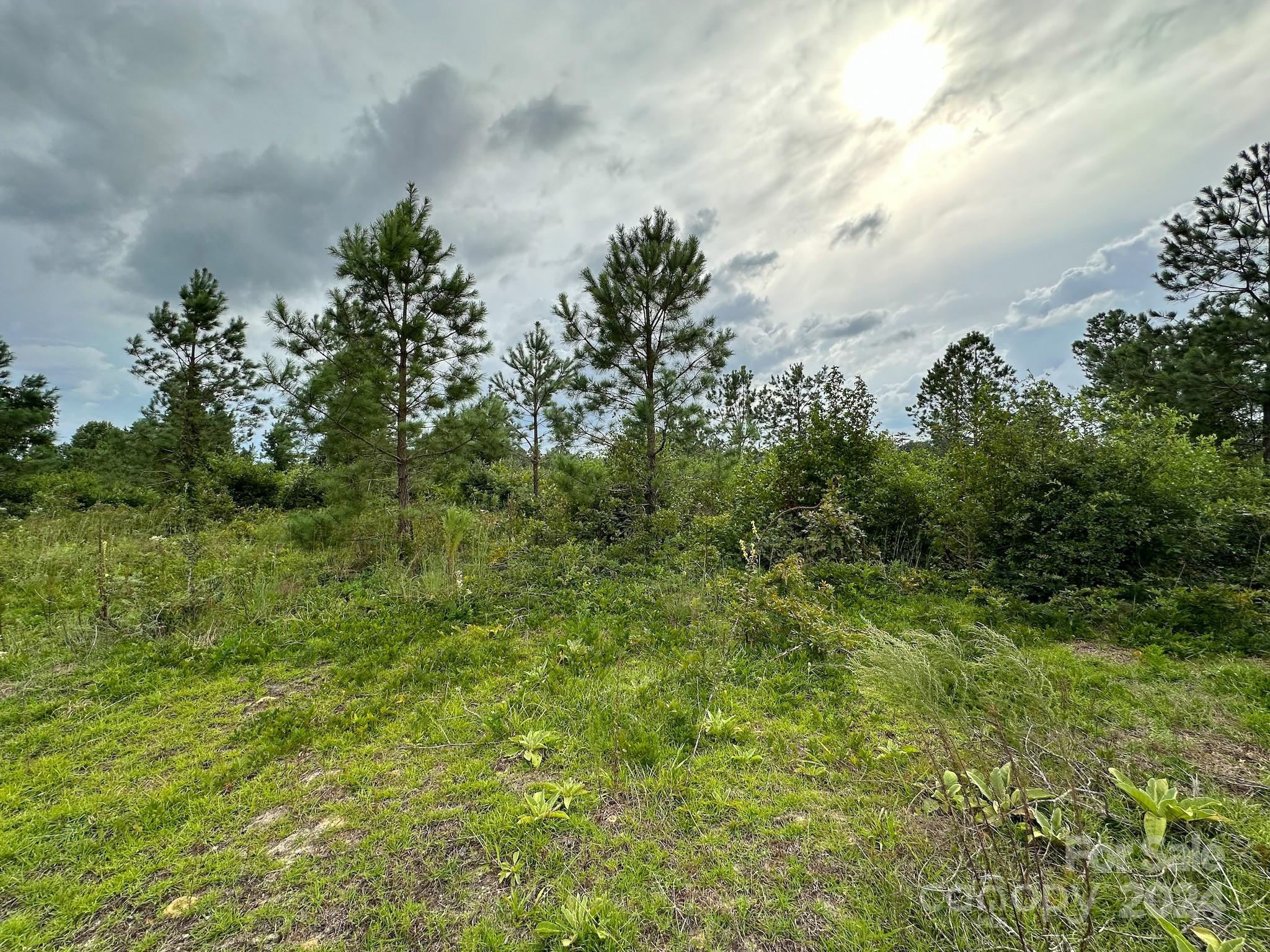110 Haywood Cemetery Road Rockingham NC 28379