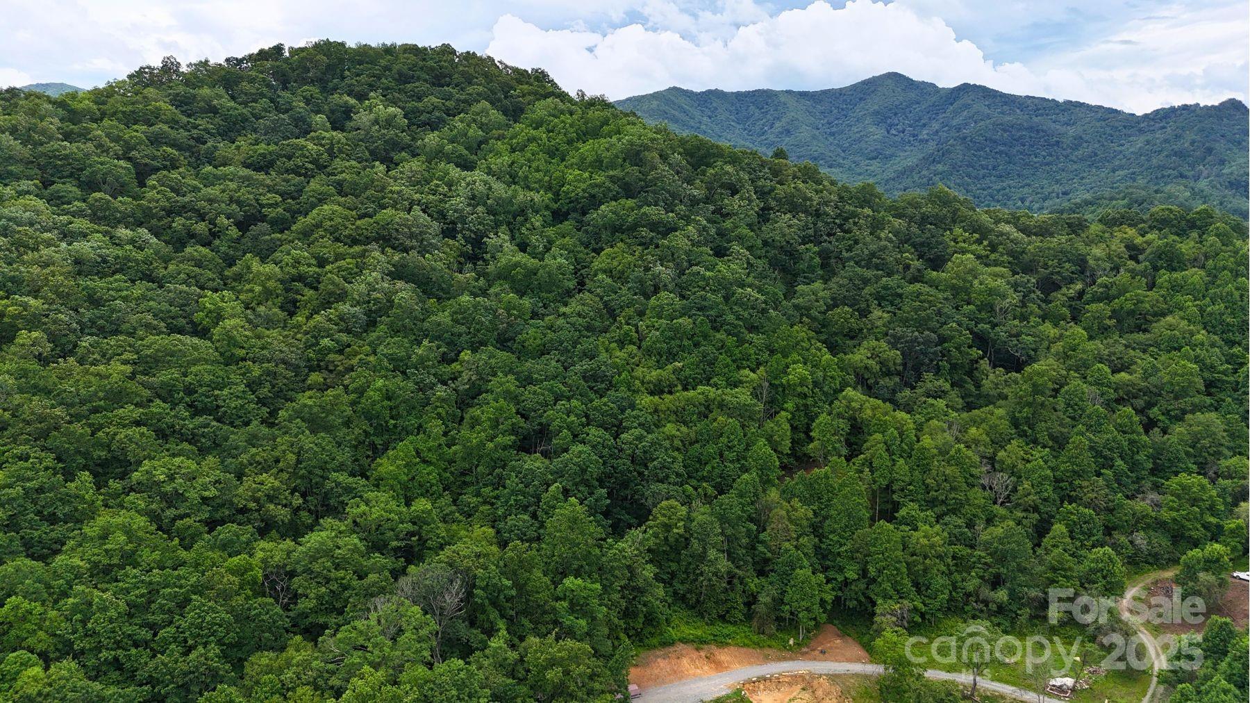 0000 Wayward Cove Clyde NC 28721