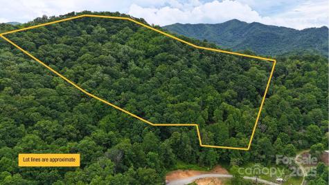 0000 Wayward Cove Clyde NC 28721