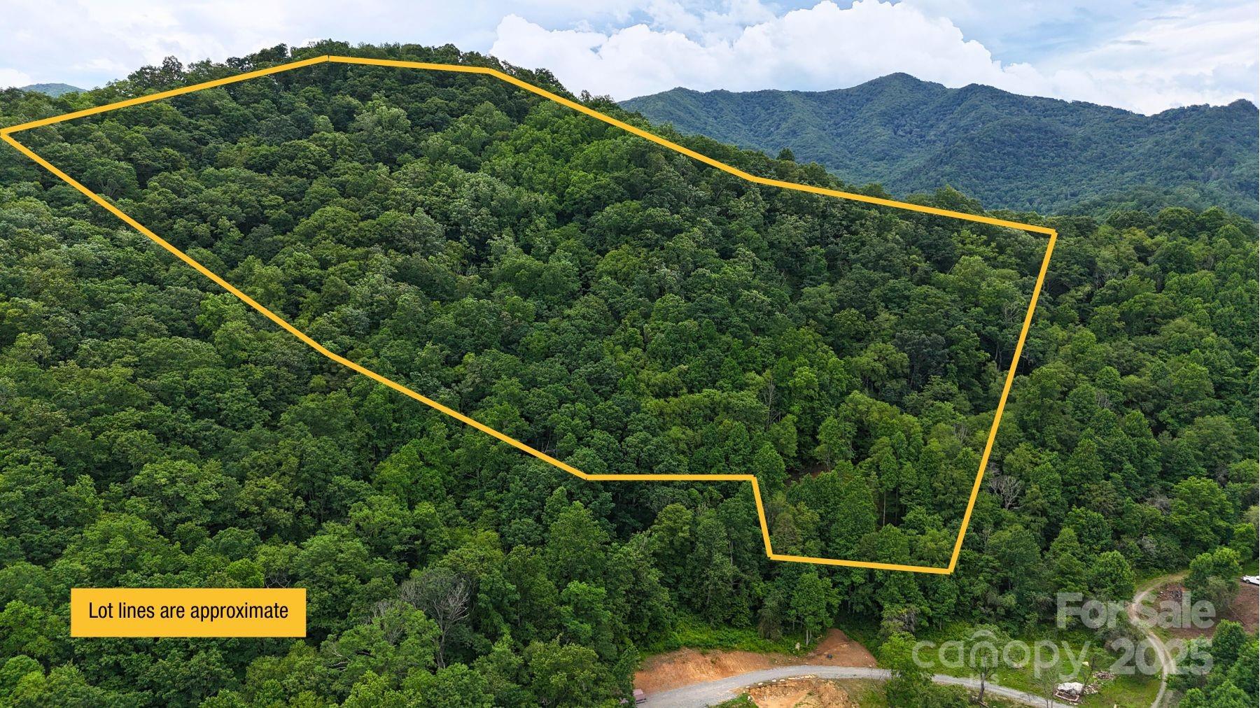 0000 Wayward Cove Clyde NC 28721
