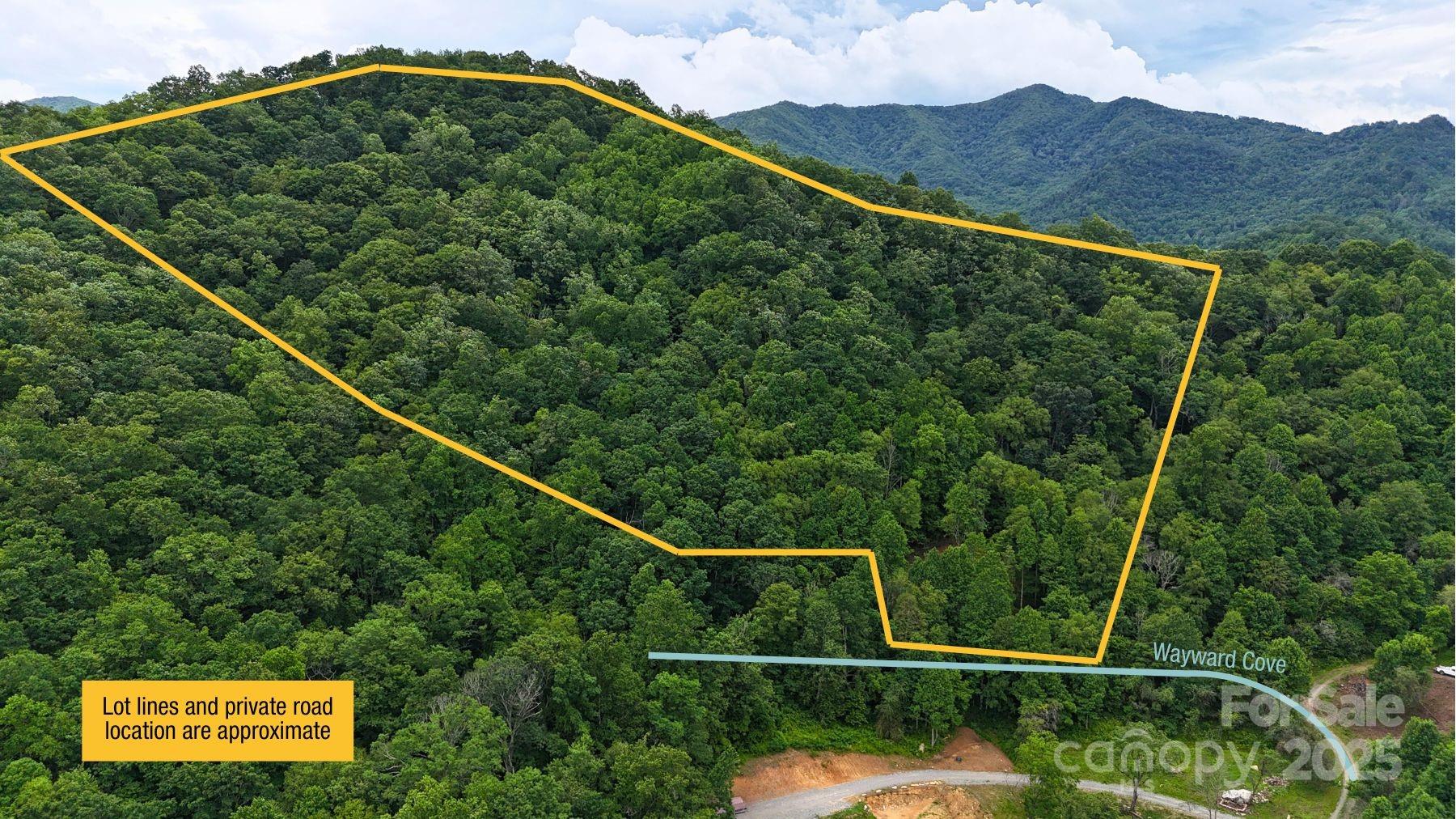 0000 Wayward Cove Clyde NC 28721