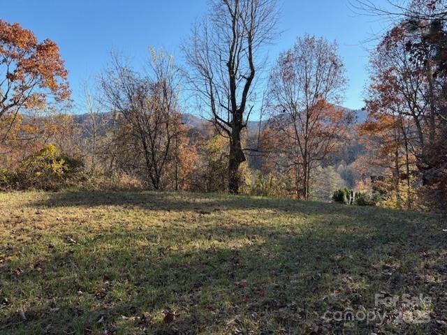 Lot 4 March Hillside Court Waynesville NC 28785