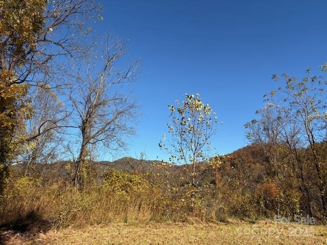Lot 4 March Hillside Court Waynesville NC 28785
