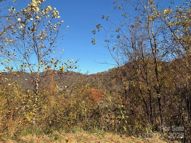 Lot 4 March Hillside Court Waynesville NC 28785
