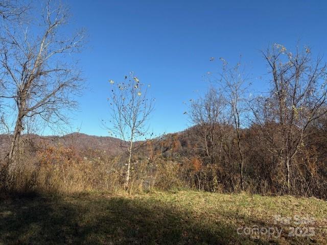 Lot 4 March Hillside Court Waynesville NC 28785