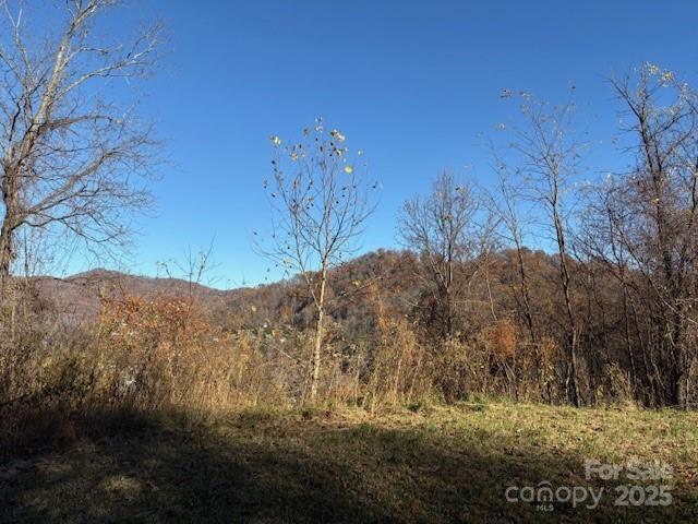 Lot 4 March Hillside Court Waynesville NC 28785