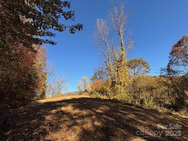 Lot 4 March Hillside Court Waynesville NC 28785