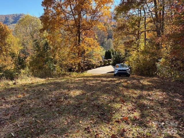 Lot 4 March Hillside Court Waynesville NC 28785