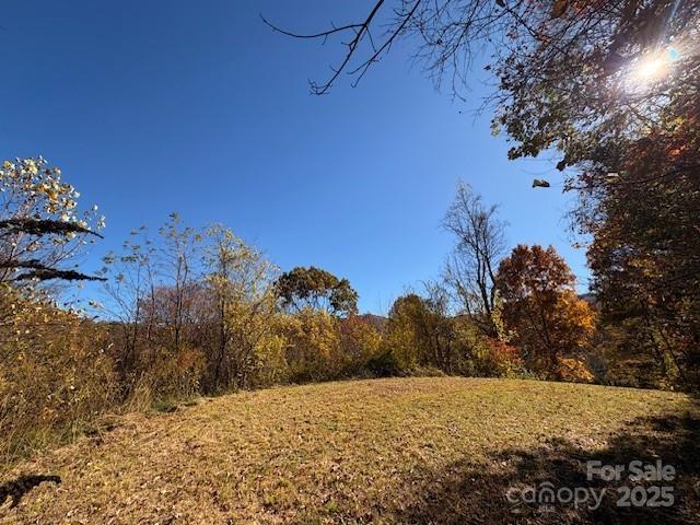 Lot 4 March Hillside Court Waynesville NC 28785