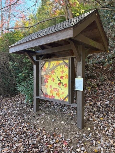 Lot 4 March Hillside Court Waynesville NC 28785