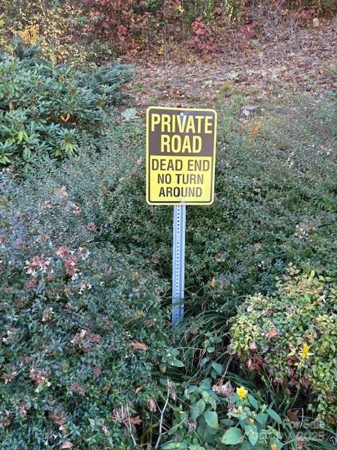 Lot 4 March Hillside Court Waynesville NC 28785
