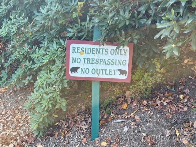 Lot 4 March Hillside Court Waynesville NC 28785