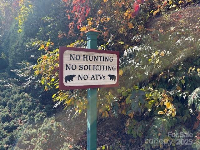 Lot 4 March Hillside Court Waynesville NC 28785
