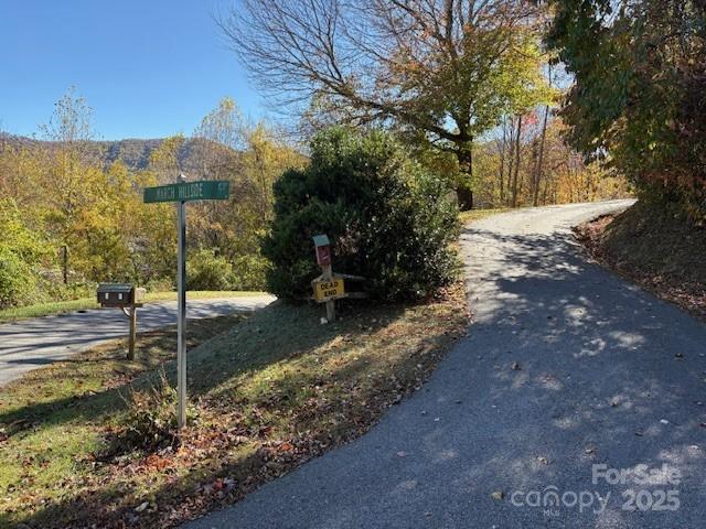 Lot 4 March Hillside Court Waynesville NC 28785