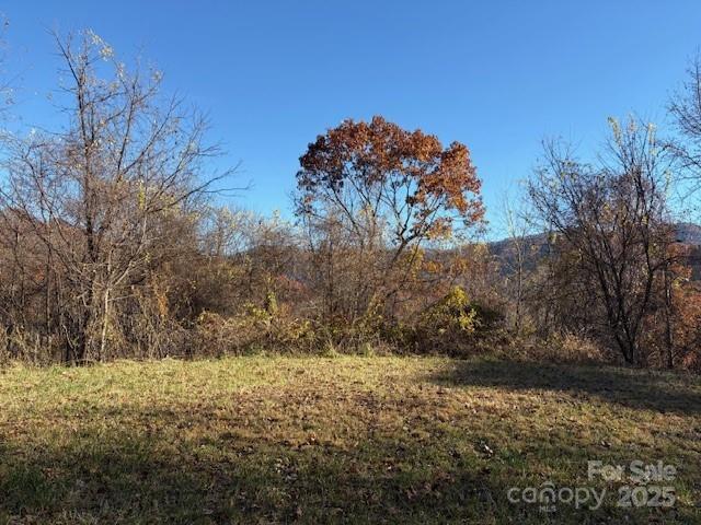 Lot 4 March Hillside Court Waynesville NC 28785