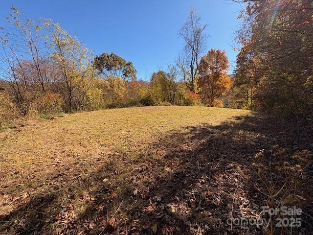 Lot 4 March Hillside Court Waynesville NC 28785