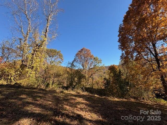 Lot 4 March Hillside Court Waynesville NC 28785