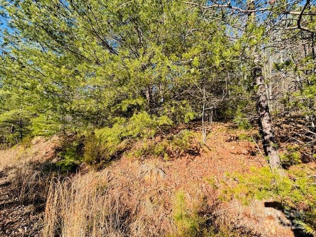 0 Cross Creek Drive Rutherfordton NC 28139