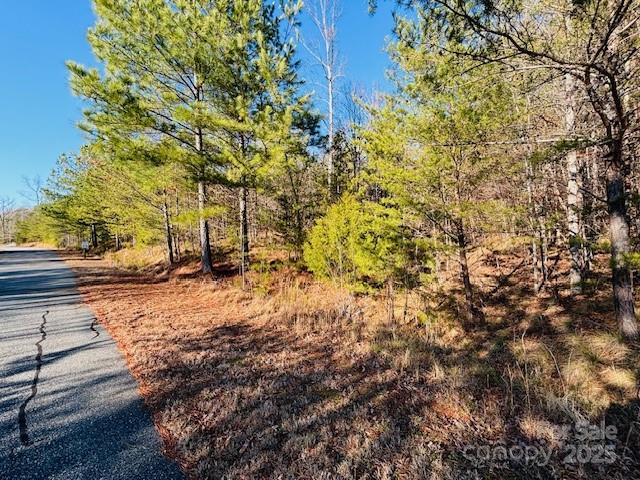 0 Cross Creek Drive Rutherfordton NC 28139