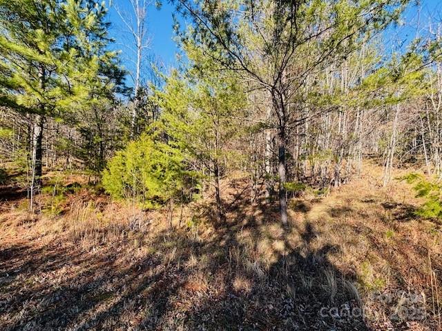 0 Cross Creek Drive Rutherfordton NC 28139