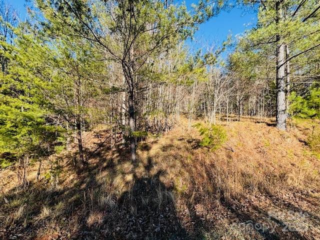 0 Cross Creek Drive Rutherfordton NC 28139