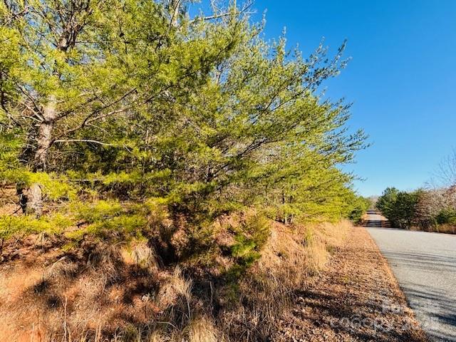 0 Cross Creek Drive Rutherfordton NC 28139