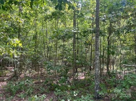 00 Blue Branch Road Gaffney SC 29340