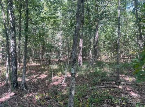 00 Blue Branch Road Gaffney SC 29340