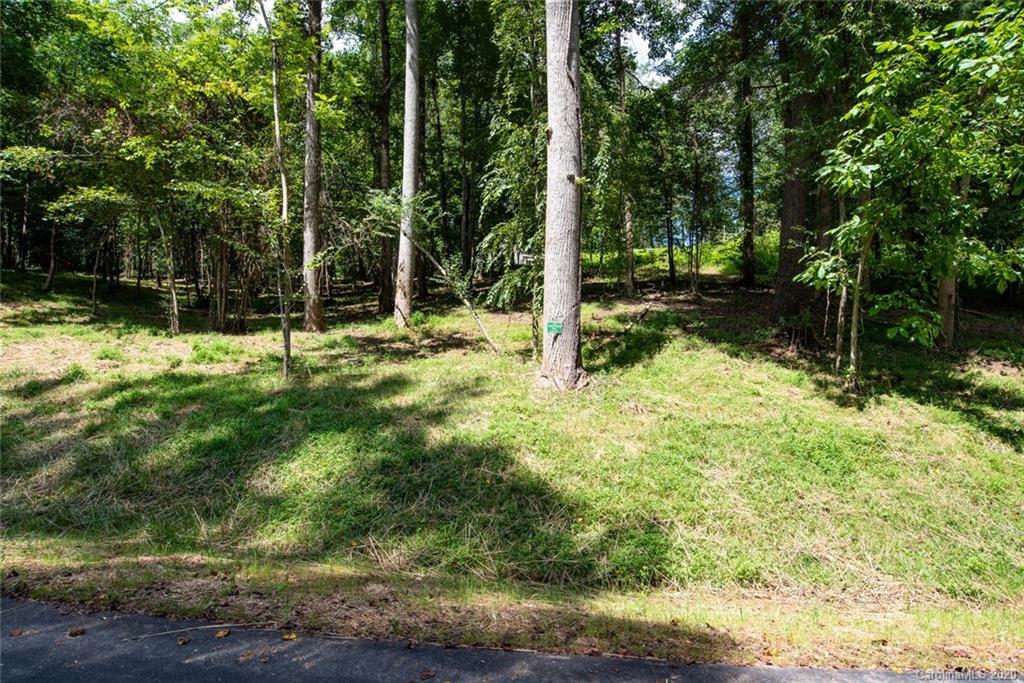 113 Poplar Green Way Asheville NC 28806