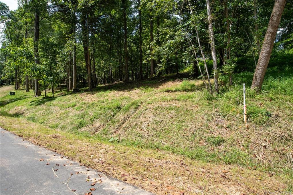 113 Poplar Green Way Asheville NC 28806