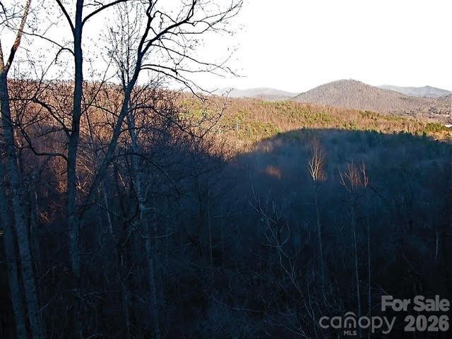 52 Hope View Road Swannanoa NC 28778